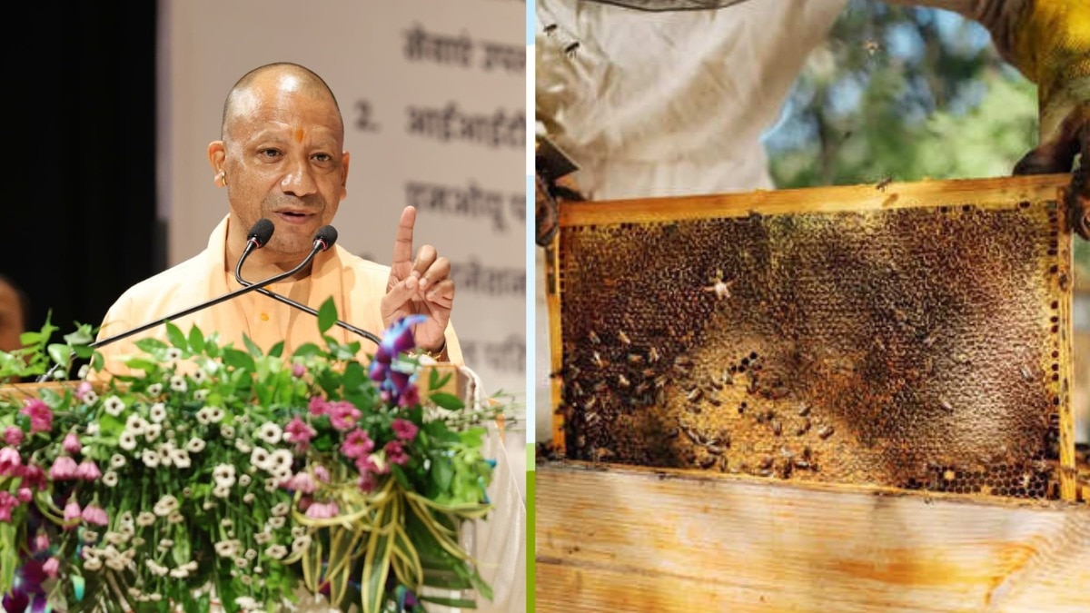 सहारनपुर, बस्ती और प्रयागराज में होगा मधुमक्खी पालन का निःशुल्क प्रशिक्षण