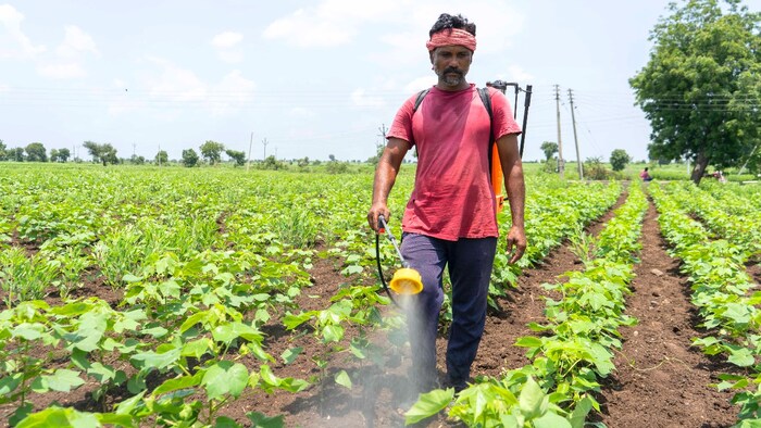 Pesticides, chemicals and food items