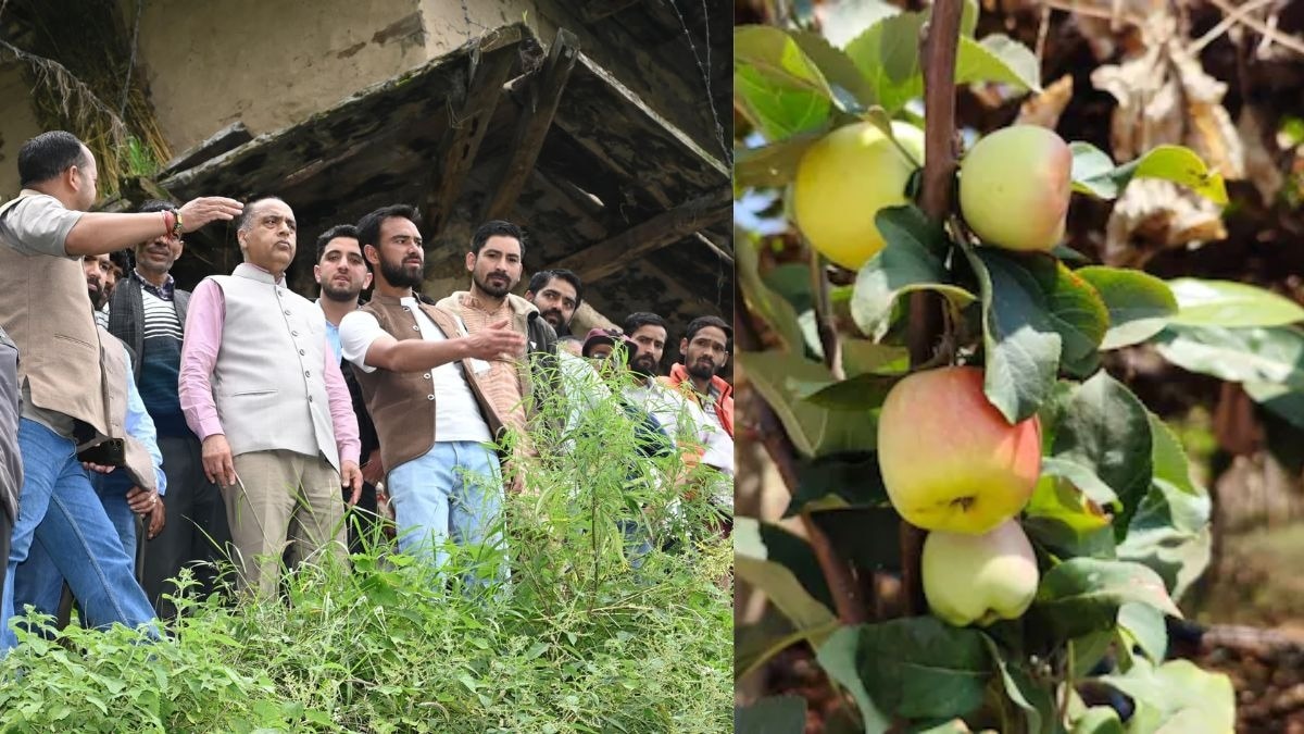 जय राम ठाकुर