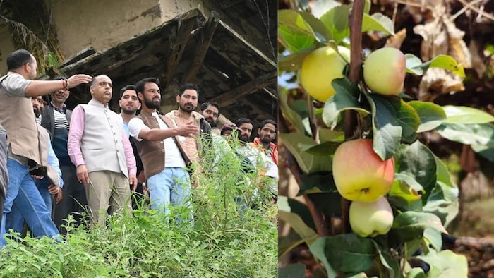 जय राम ठाकुर