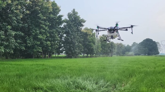 भारतीय सब्जी अनुसंधान संस्थान ने एक और उपलब्धि की ओर कदम बढ़ा लिया है.