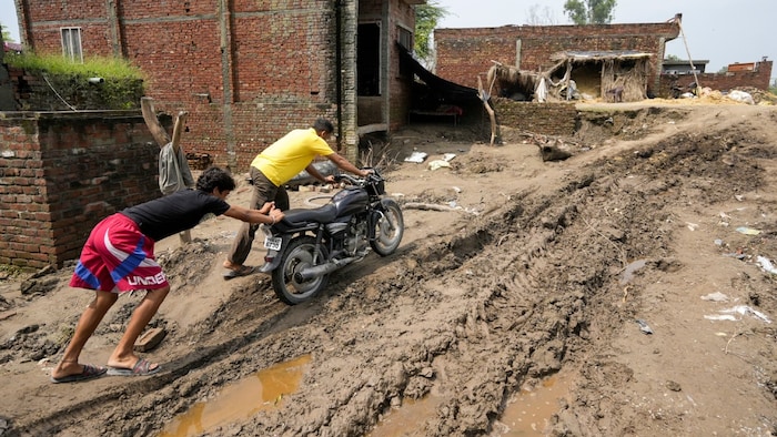 Haryana Flood