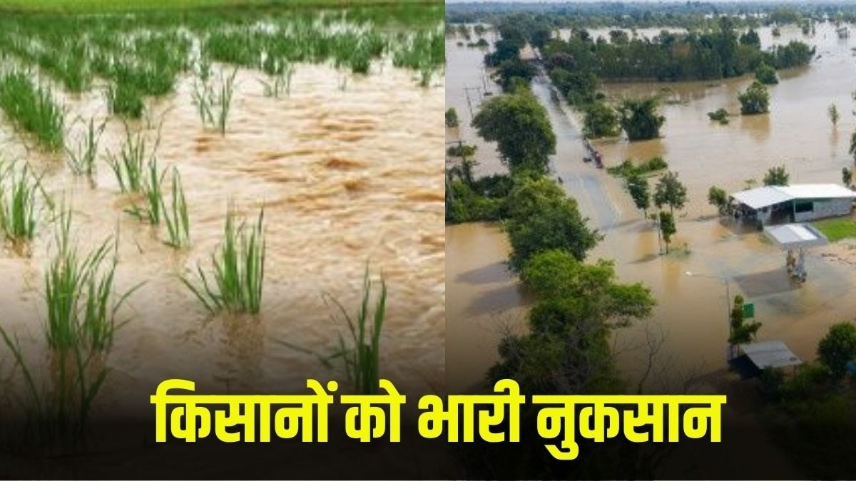 paddu flood
