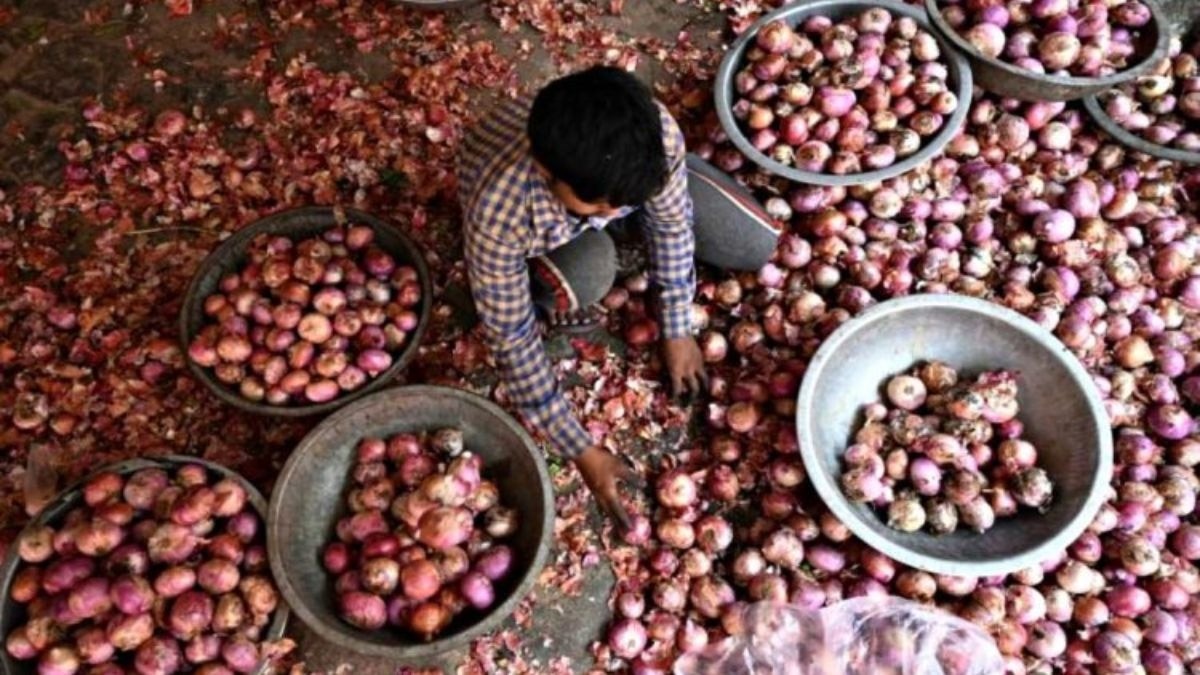 प्याज किसानों की आंखों में आंसू