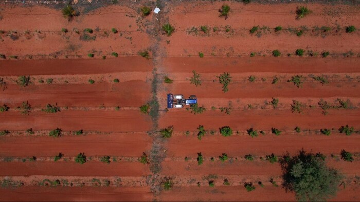 Hebbevu Farms achieves milestone revenue of Rs 30 crore