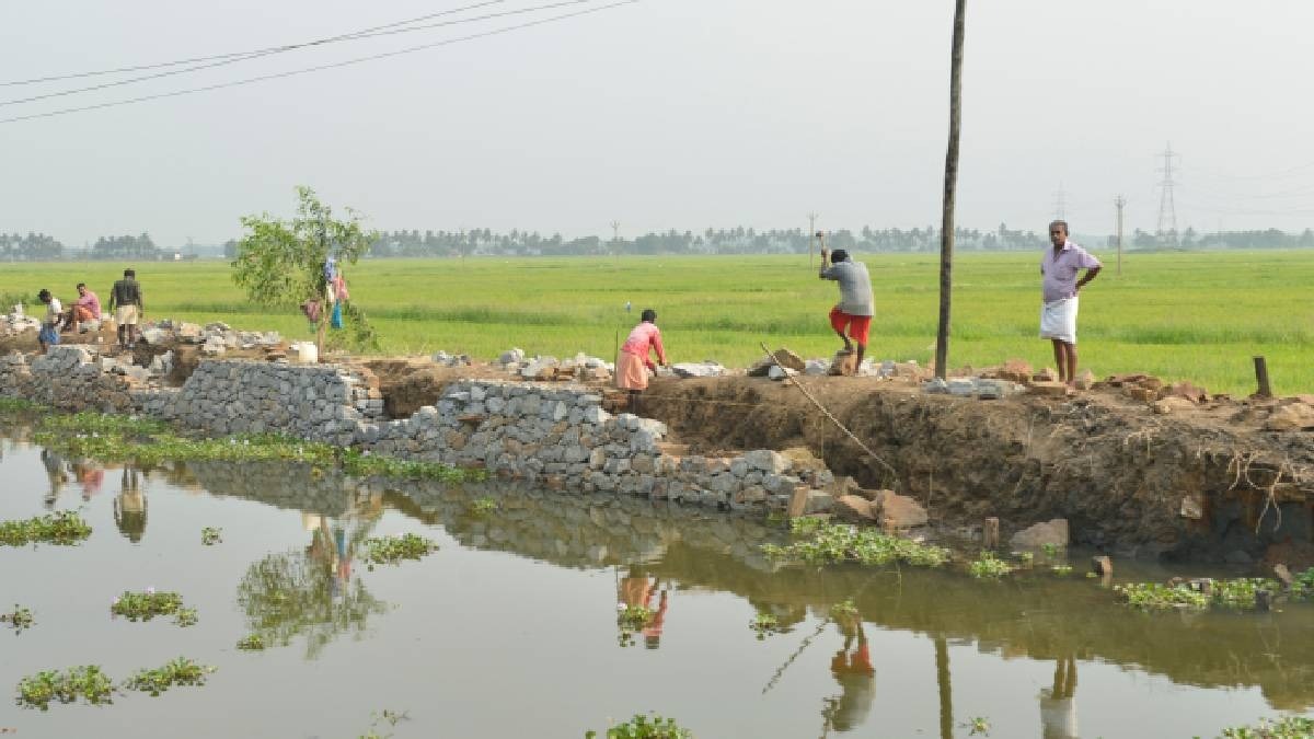 crop loss in flood
