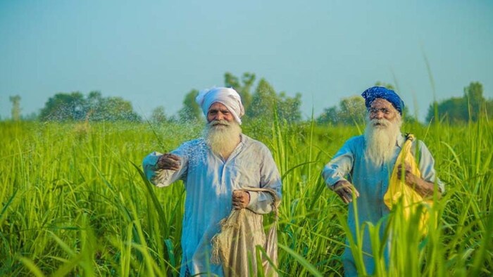 पंजाब में भी बने फसल बीमा पॉलिसी