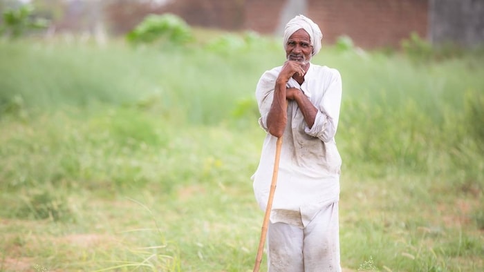 बेमौसम बारिश ने किसानों को किया बर्बाद