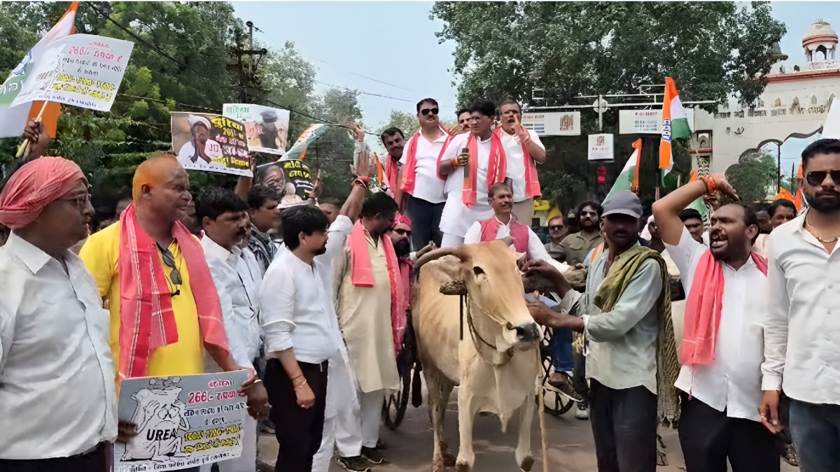 congress commiteee