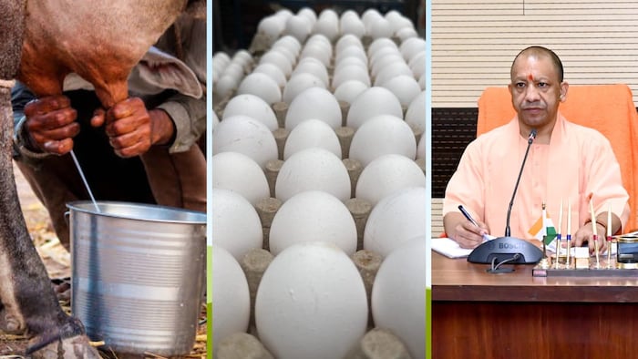 योगी सरकार का लक्ष्य वर्ष 2047 तक प्रदेश की 6 ट्रिलियन डॉलर की अर्थव्यवस्था बनने का है.