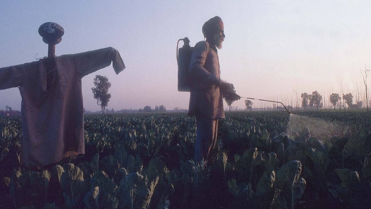 organic pesticides