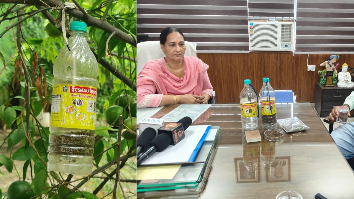 बागवानी फसलों को कीटों से बचाने के लिए कमाल की ट्रैप, 130 रुपये में होगी फसल सुरक्षा