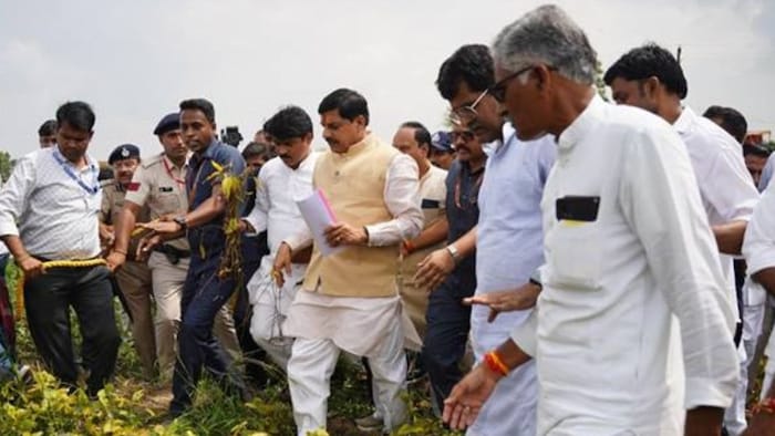 Soyabean crop survey MP