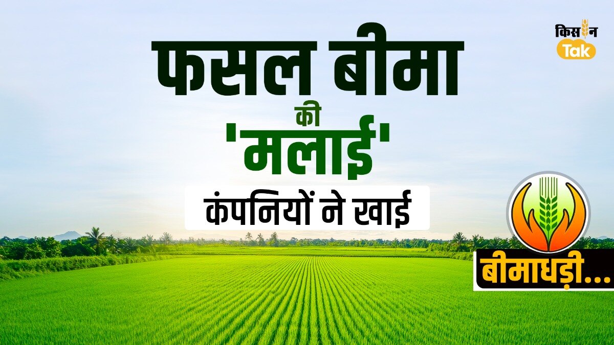 PMFBY: क‍िसान 'बीमाधड़ी' से बेहाल, फसल बीमा कंपन‍ियां मालामाल...कमाई ने बनाया र‍िकॉर्ड