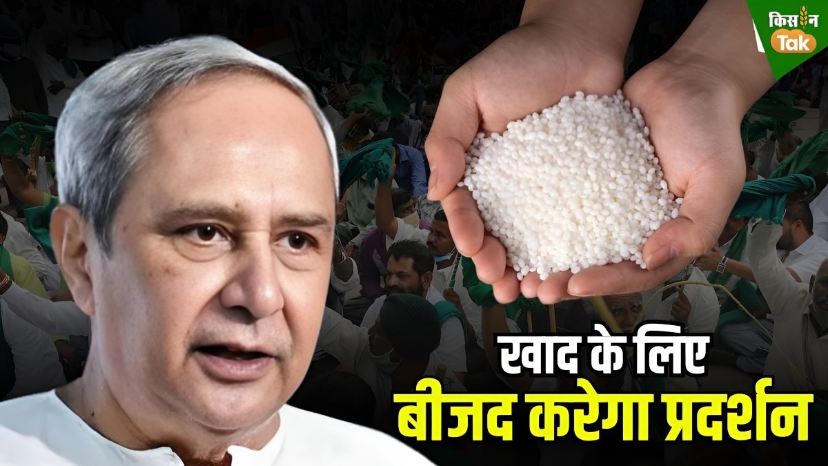 ओडिशा में 'खाद संकट'
