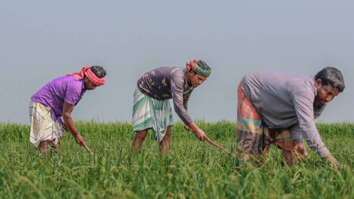 राजस्‍थान ने फार्मर रजिस्‍ट्री में बनाया नया रिकॉर्ड 