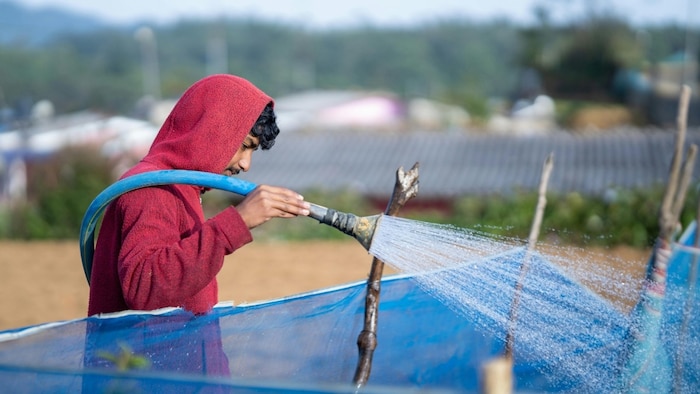 किसानों को मिल रही 100 फीसदी सब्सिडी (प्रतीकात्मक तस्वीर)