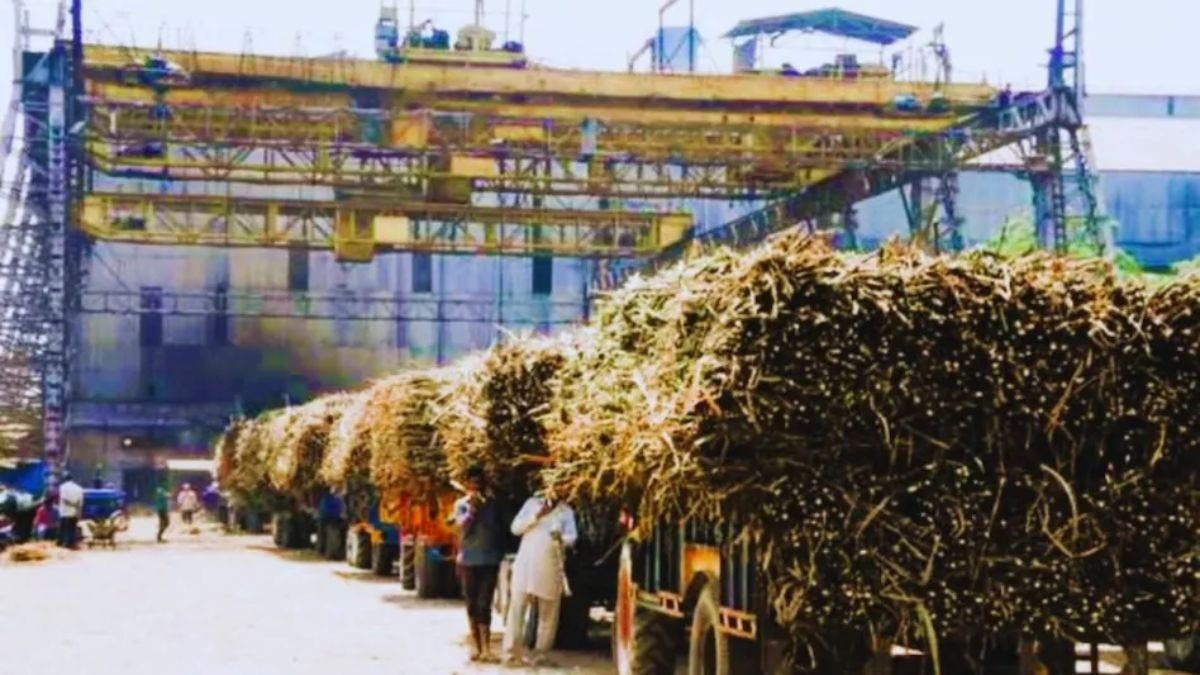 गन्ने की पेराई