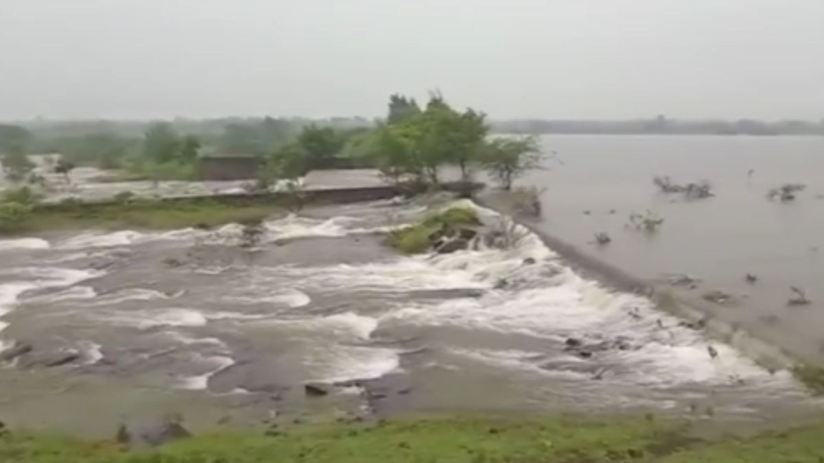 महाराष्ट्र के दो जिलों में मूसलाधार बारिश का कहर...कई फसलें हुईं चौपट, किसानों को भारी नुकसान