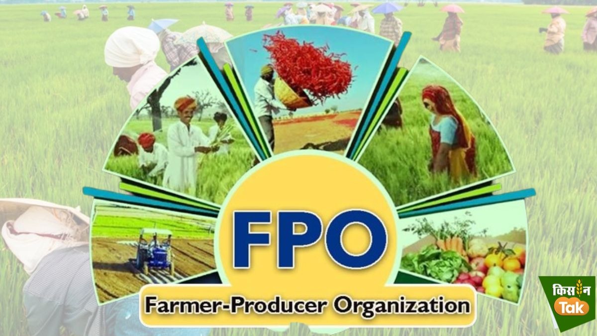 सरकार करेगी FPO की मदद!