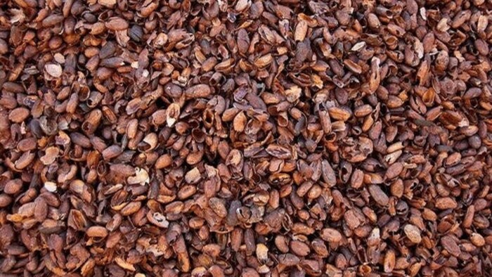 कोको पीट हस्क से बायोचार