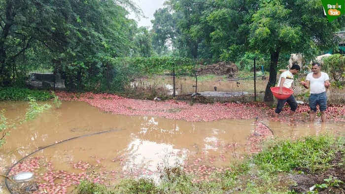 havoc due to heavy rains