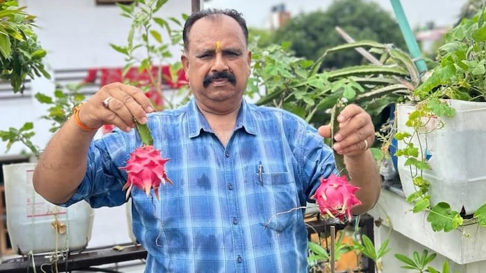 लखनऊ के गोमतीनगर इलाके के निवासी विनोद कुमार पांडेय