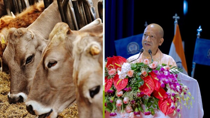 उत्तर प्रदेश के मुख्यमंत्री योगी आदित्यनाथ (Photo-Social Media)