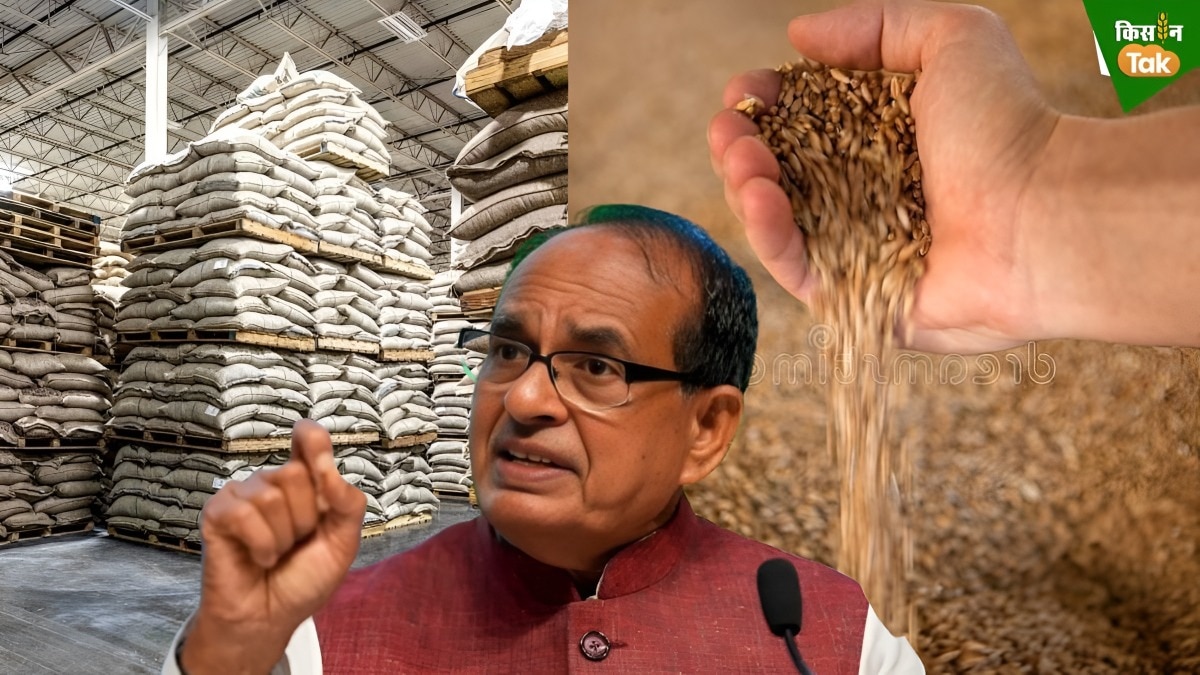 grains