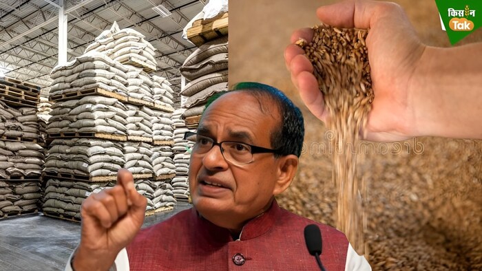 grains
