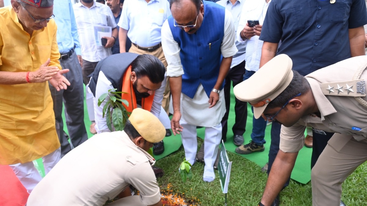 plantation drive