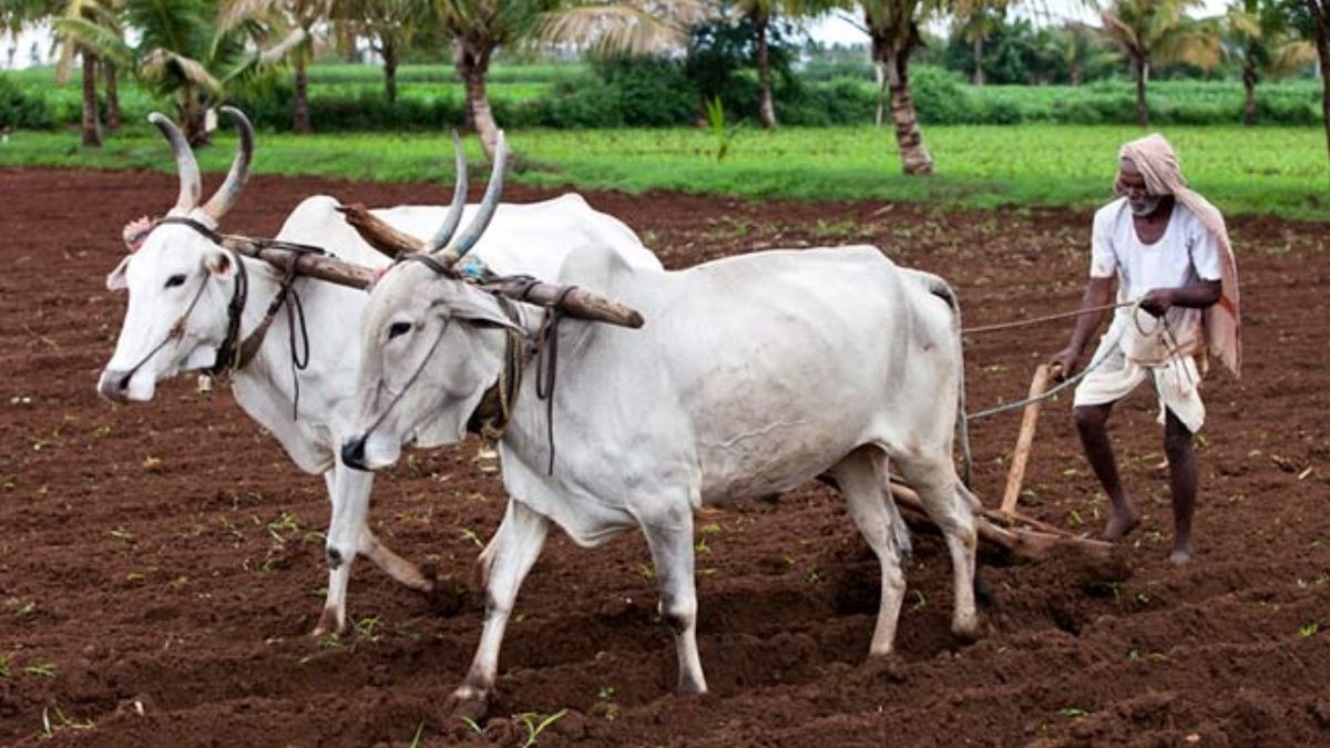 किसानों के लिए उठाया गया बड़ा कदम