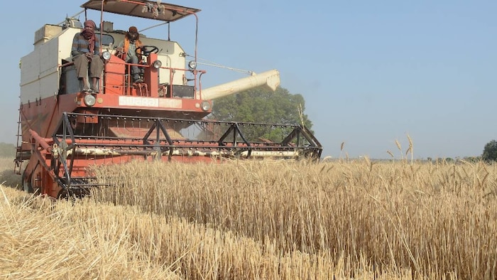 धान और गेहूं की कटाई के लिए वरदान है ये मशीन