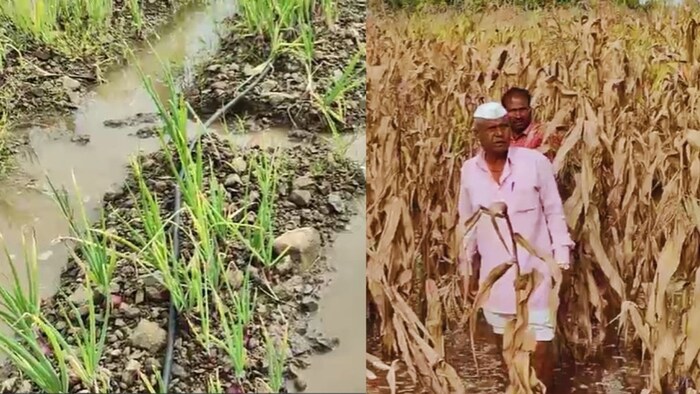 किसानों की फसलें बर्बाद