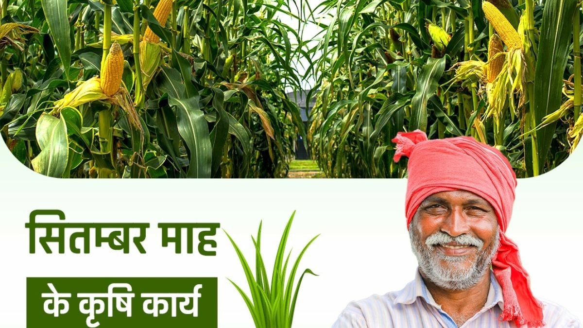 सितंबर महीने में किए जाने वाले कृषि कार्य