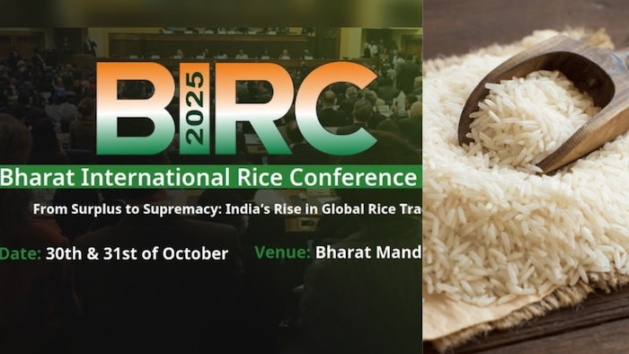 अंतर्राष्ट्रीय चावल सम्मेलन