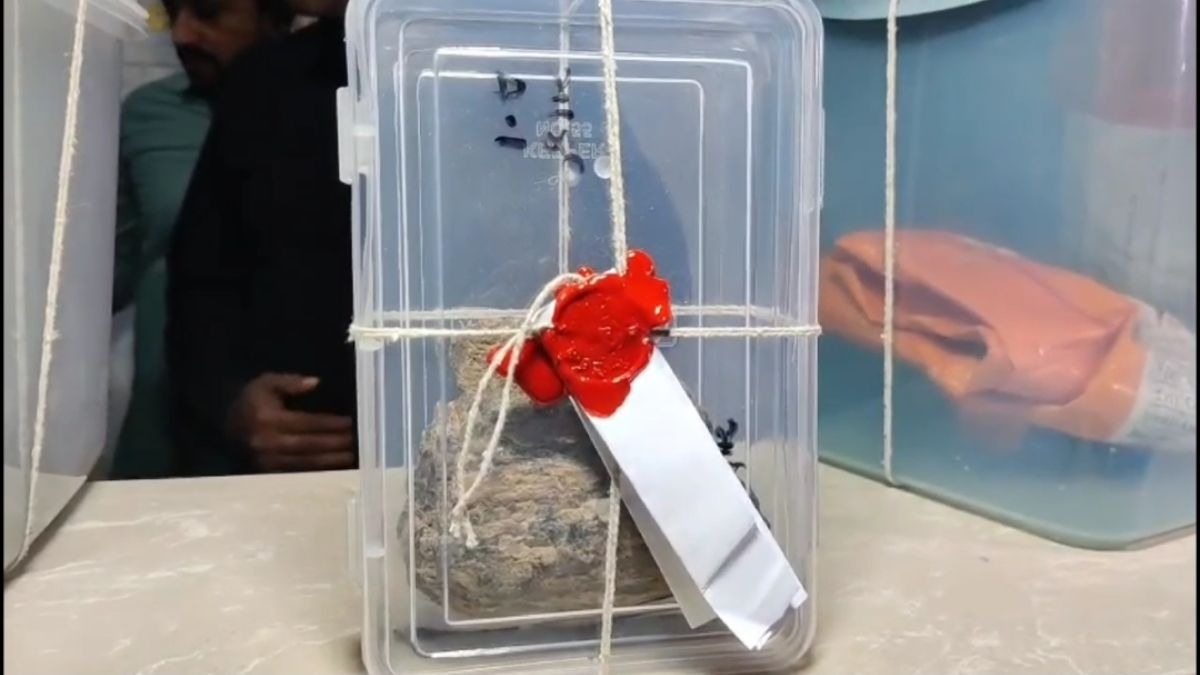 Ambregris recovered from a farmer's house in Surat