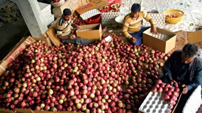 सेब किसानों के लिए राहत