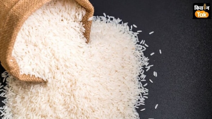 टूटे चावल पर राइस मिलर्स परेशान