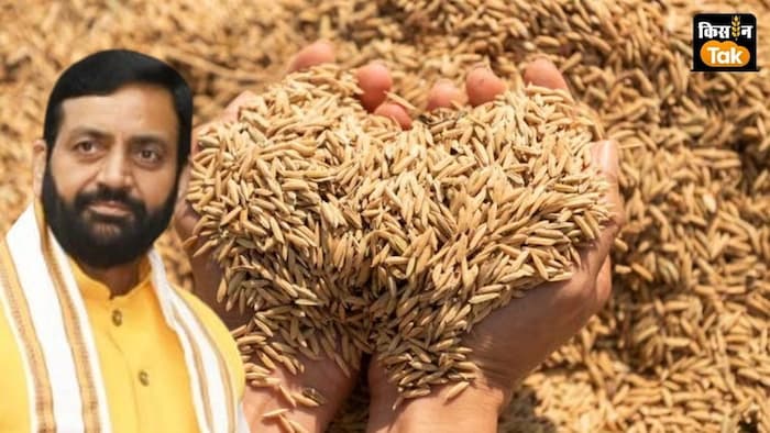 धान खरीद का हरियाणा में कितना है टारगेट?