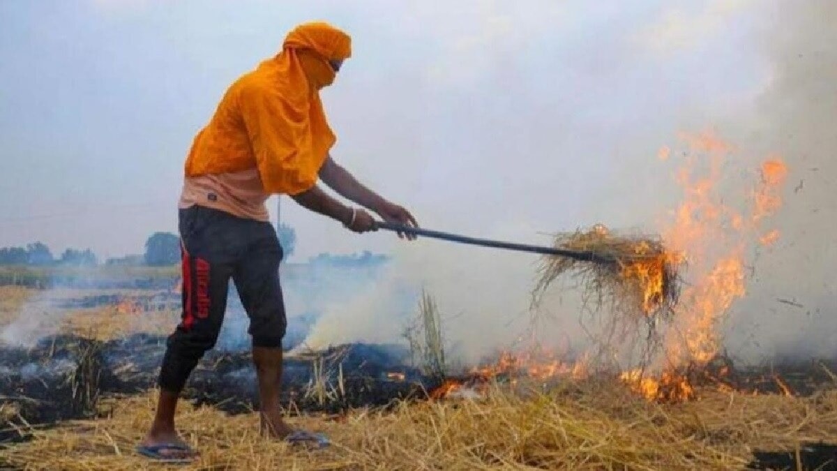 Punjab Parali Burning Incident