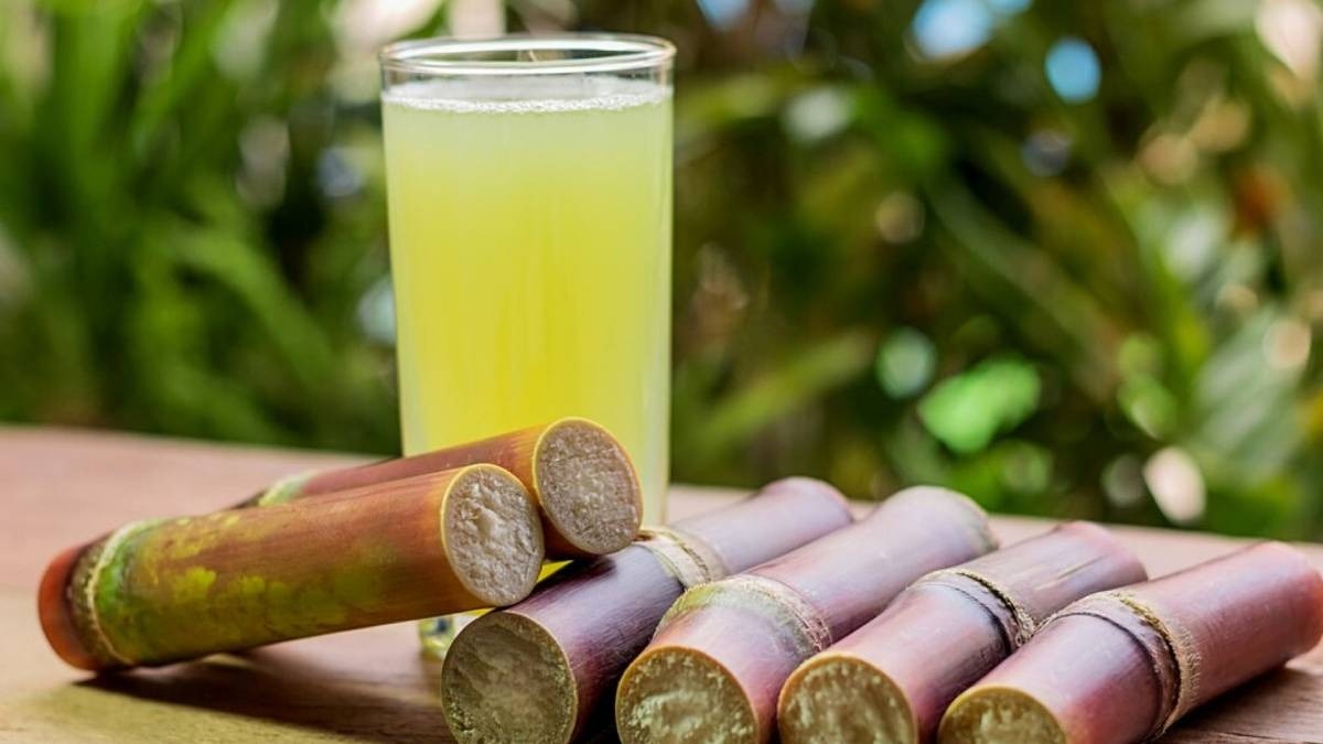 Sugarcane: गन्ने में चीनी की रिकवरी बढ़ाने के लिए क्या करें, क्या है सबसे आसान उपाय?