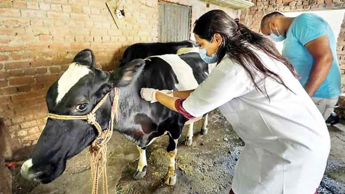 animal Vaccination