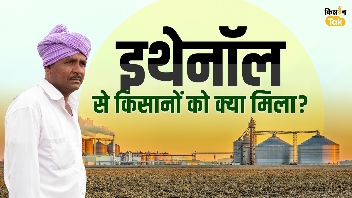 इथेनॉल से क‍िसानों को 'फरेब' म‍िला या फायदा...आपकी आंख खोल देगी यह र‍िपोर्ट 
