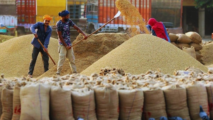 धान का मंडी भाव