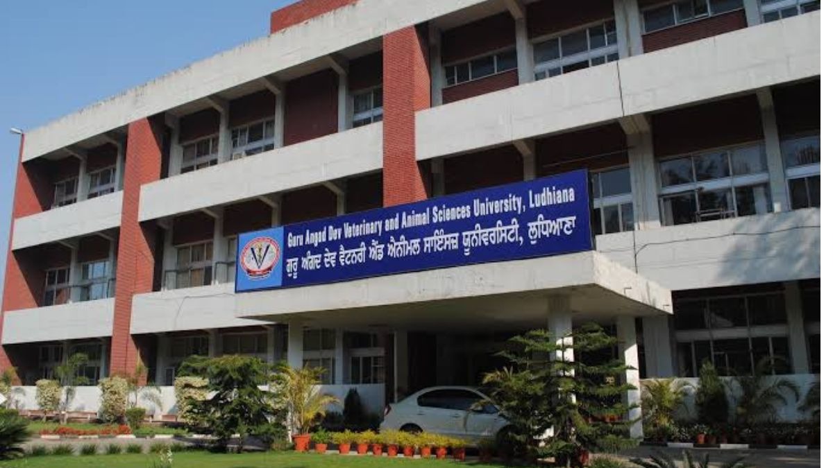 Gadvasu Ludhiana