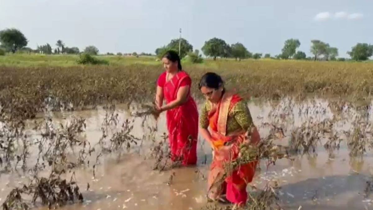 Hingoli Rain
