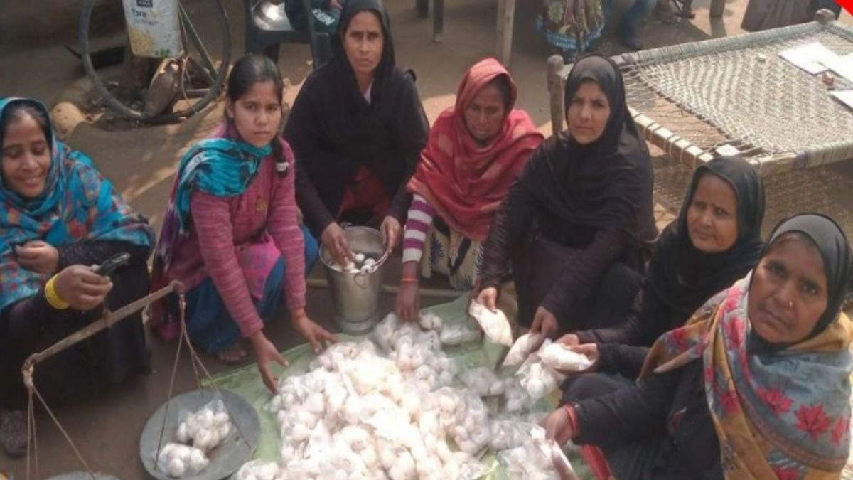 शाहजहांपुर में मशरूम की खेती से महि‍लाओं को मिली नई पहचान, 50 हजार पहुंची महीने की कमाई