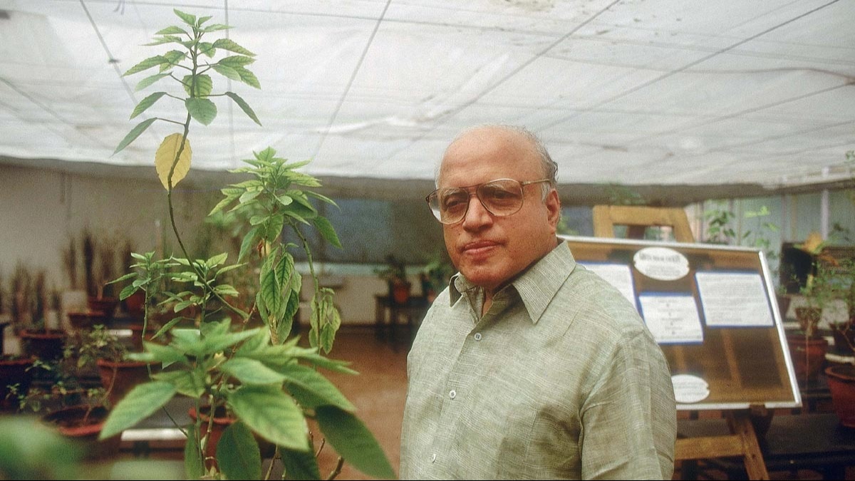 गेहूं और चावल ही न उगाएं... खेती में कैसे रखें पर्यावरण का ध्‍यान, स्‍वामीनाथन ने किसानों को दिया था एक खास मंत्र 