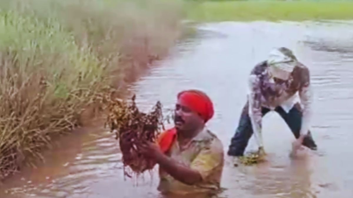 सोयाबीन बह गया, घर डूब गए... फसल नष्ट होने पर फूट-फूट कर रोया किसान
